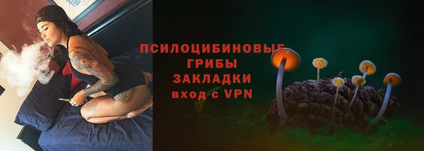 шишки Алексеевка