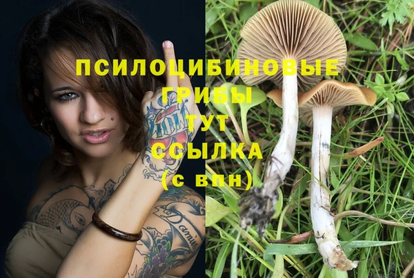 гашик Нефтегорск