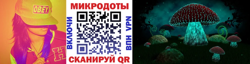 Галлюциногенные грибы Psilocybe  Андреаполь 